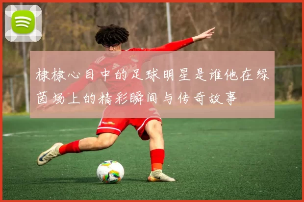 棣棣心目中的足球明星是谁他在绿茵场上的精彩瞬间与传奇故事