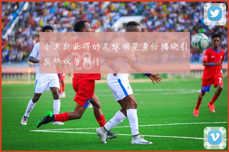 小夫新获得的足球明星身份揭晓引发热议与期待