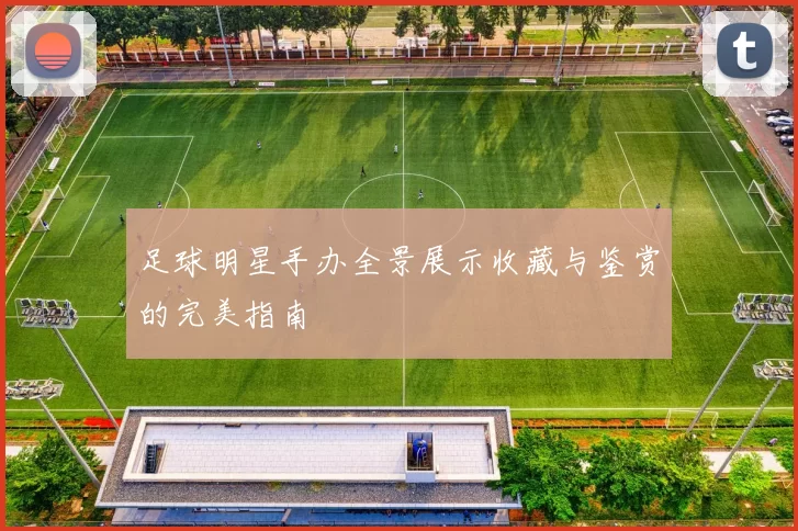 足球明星手办全景展示收藏与鉴赏的完美指南