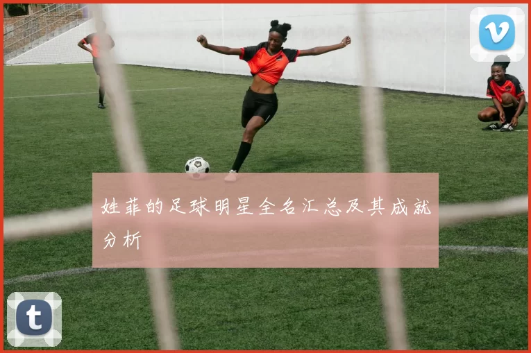 姓菲的足球明星全名汇总及其成就分析