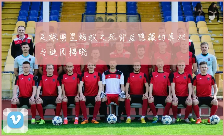 足球明星蚂蚁之死背后隐藏的真相与谜团揭晓