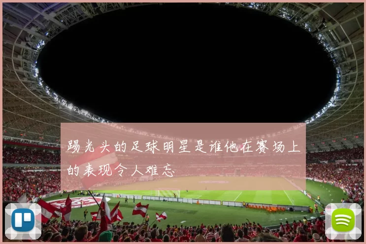 踢光头的足球明星是谁他在赛场上的表现令人难忘