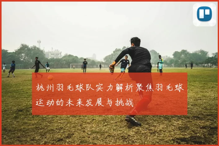 杭州羽毛球队实力解析聚焦羽毛球运动的未来发展与挑战