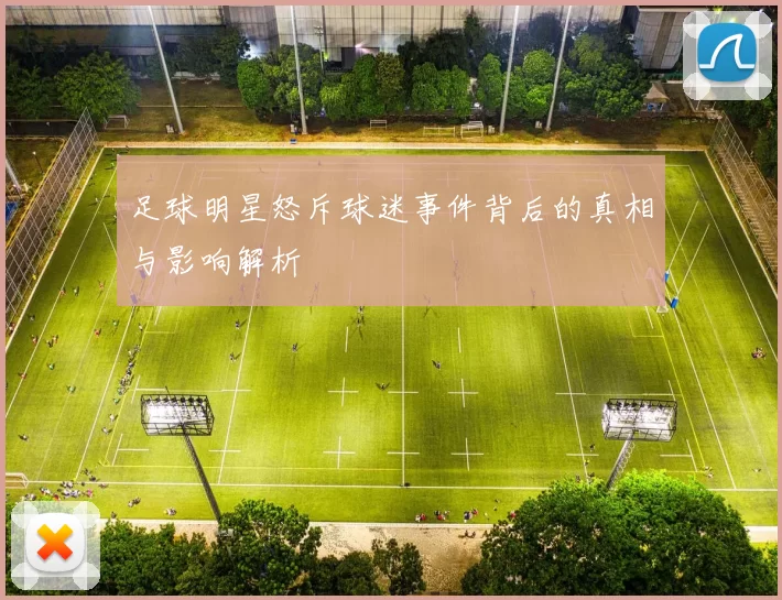 足球明星怒斥球迷事件背后的真相与影响解析
