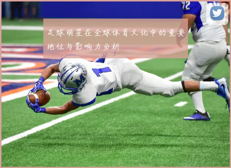 足球明星在全球体育文化中的重要地位与影响力分析