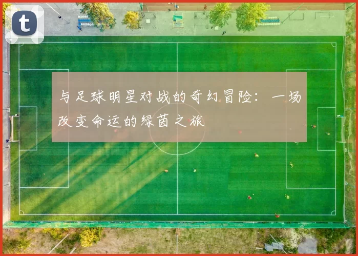 与足球明星对战的奇幻冒险：一场改变命运的绿茵之旅