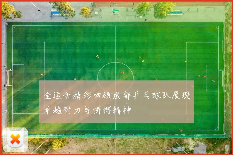 全运会精彩回顾成都乒乓球队展现卓越耐力与拼搏精神