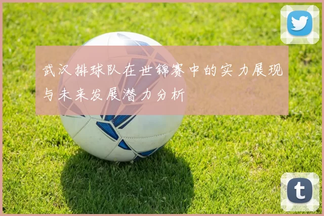 武汉排球队在世锦赛中的实力展现与未来发展潜力分析