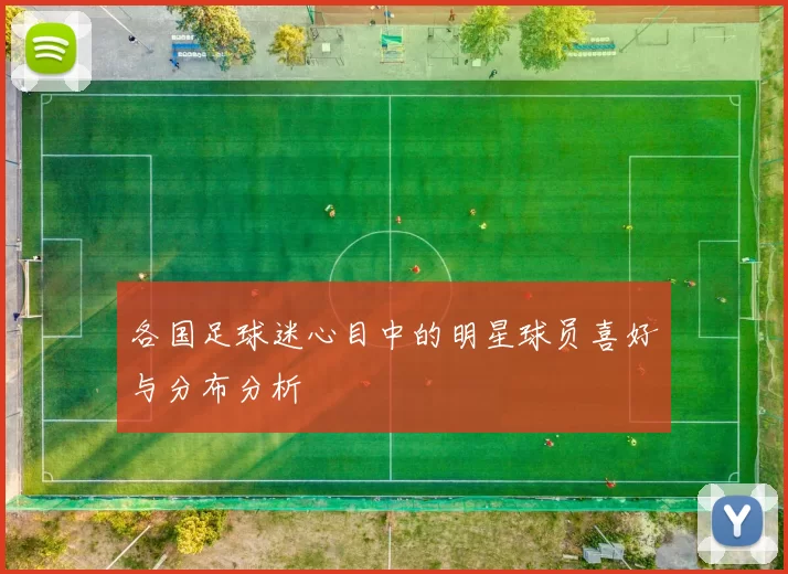 各国足球迷心目中的明星球员喜好与分布分析