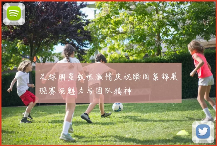 足球明星教练激情庆祝瞬间集锦展现赛场魅力与团队精神
