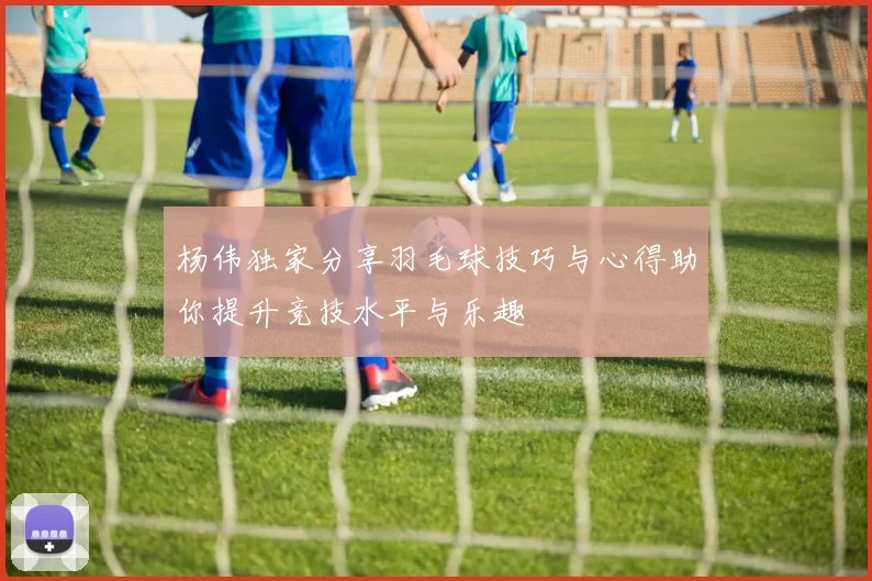 杨伟独家分享羽毛球技巧与心得助你提升竞技水平与乐趣